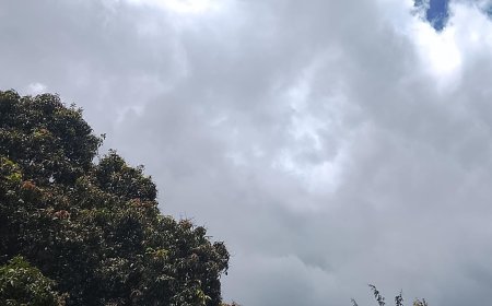 Verão: Saiba em que regiões do Brasil deve chover acima da média