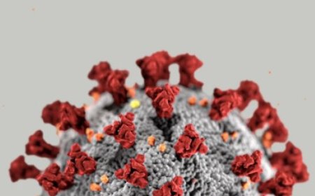 Gripe K é confirmada em Ponta Porã; prefeitura orienta população