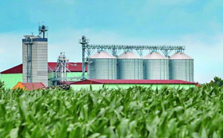R$ 234,5 milhões em novembro: Investimento agrícola sul-mato-grossense movimentou