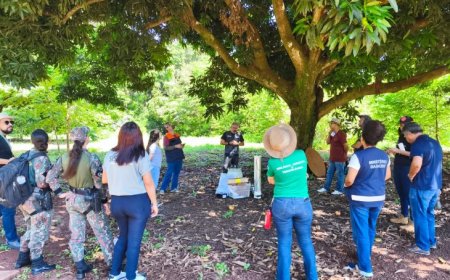 Treinamento reforça prevenção de arboviroses zoonóticas com foco na vigilância animal