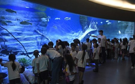 Bioparque Pantanal se consolida no mapa do turismo sustentável mundial