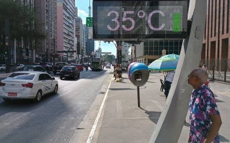 Acima de 35°C: Corpo humano não funciona como deveria