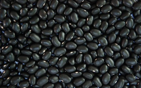 Enquanto as do carioca se sustentam: Em 2025, cotações do feijão-preto cedem