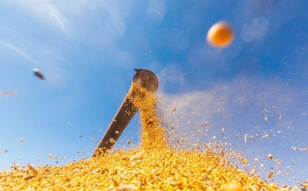 Em 2025: Oferta global recorde de soja derruba preços internos e externos