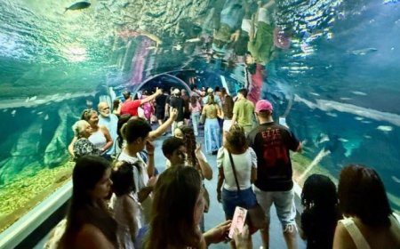 Para últimas visitas do ano: Bioparque Pantanal abre neste sábado e na terça