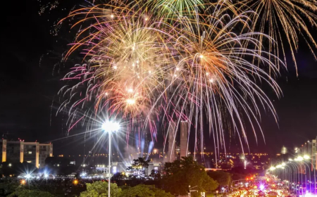 Risco para animais e pessoas: Fogos de artifícios com estampido