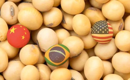 Deve ditar ritmo de 2026: Embate entre China e EUA definiu mercado da soja em 2025