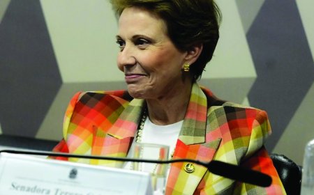 Aumentar bancadas: Com Riedel favorito à reeleição e Azambuja como nome ao Senado, PP busca se fortalecer