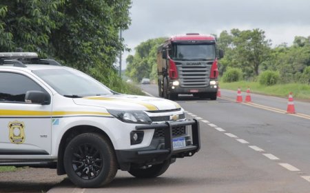 Segurança no trânsito: Correção e reciclagem de condutores são cruciais para salvar vidas