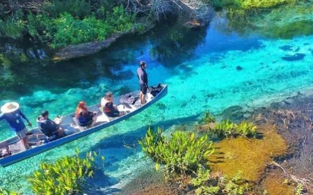 Estado se consolida como referência em turismo sustentável, promoção e inteligência de mercado