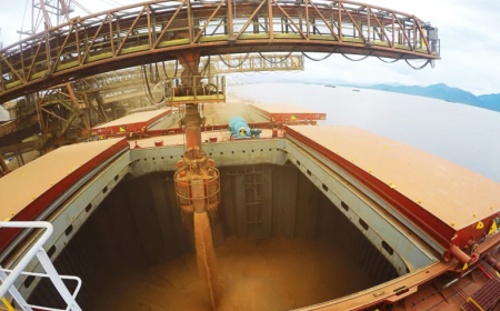 Dezembro: Exportações de soja brasileira devem superar 3 milhões de toneladas