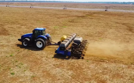 Saiba quais: 8 estados concluem a semeadura de soja no Brasil, que atinge 97,9% de área