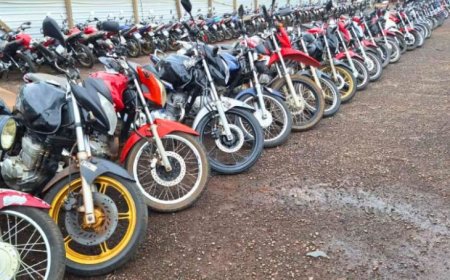 Leilões: quando a retirada de veículos dos pátios vira ganho ambiental e social