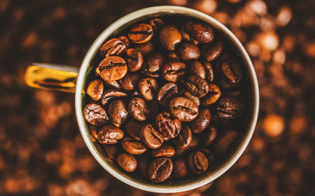 Em 2025: Mesmo com tarifaço e queda em volume, café garante receita recorde