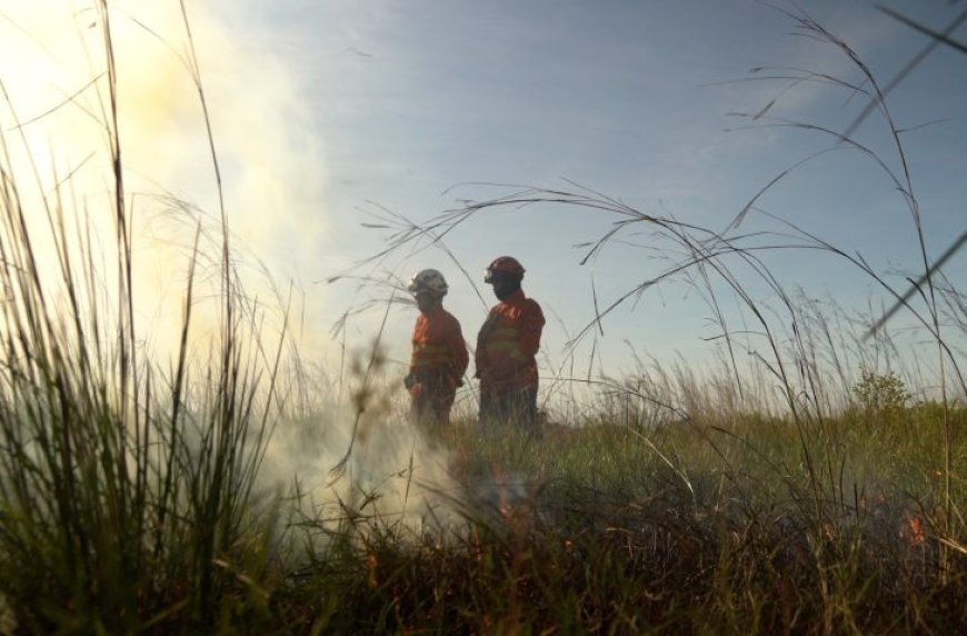 Operação Pantanal 2025 apresenta balanço com redução expressiva em focos de incêndios e hectares afetados