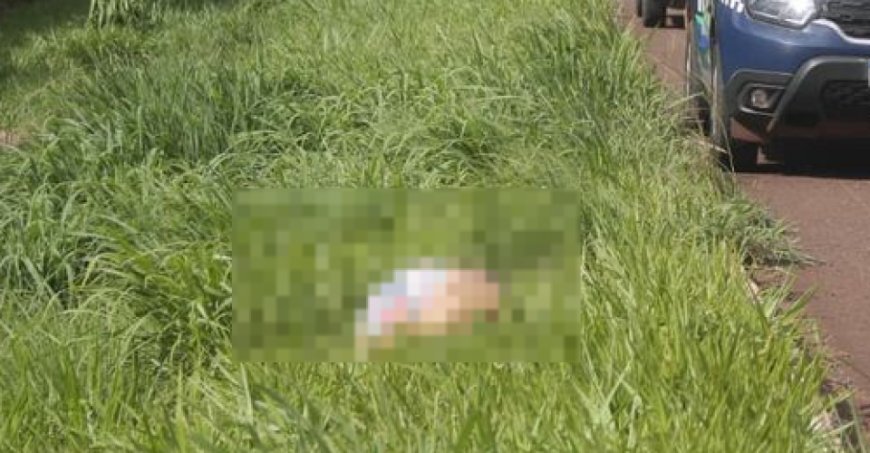 Pode ser o 38º feminicídio do ano em MS: Mulher encontrada morta às margens da BR-262