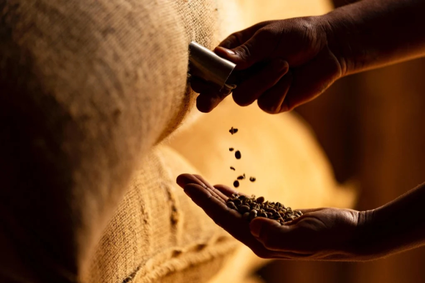 Mais de 680 mil sacas de café não foram embarcadas em outubro por defasagem portuária