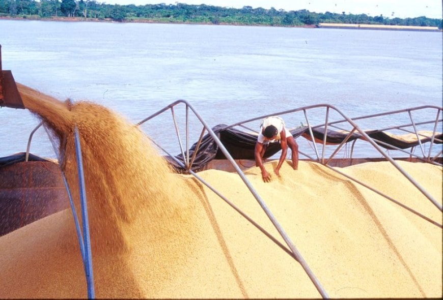 Soja e milho ganham força nos portos do Arco Norte e mudam logística nacional
