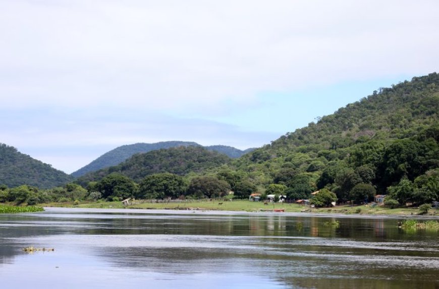 Aprovada a criação da MS Ativos Ambientais, empresa que passa a gerir o patrimônio natural do Estado