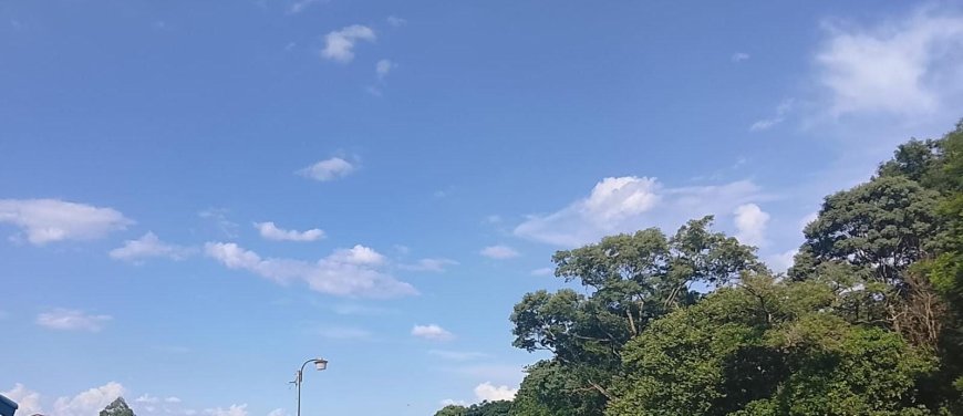 Máximas chegam a 30°C no interior: Terça-feira tem chuva em todas as regiões de MS