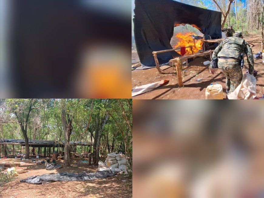 Departamento antidrogas destrói plantação de maconha na fronteira