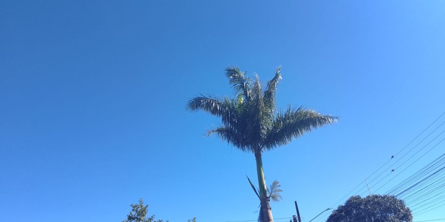 MS nesta quarta (17): Frente fria derruba temperaturas ao amanhecer