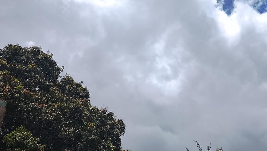 Verão: Saiba em que regiões do Brasil deve chover acima da média