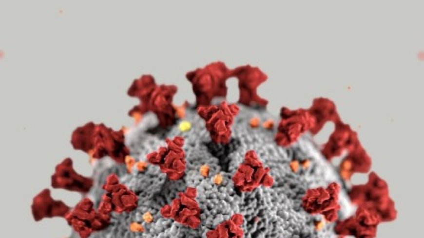 Gripe K é confirmada em Ponta Porã; prefeitura orienta população