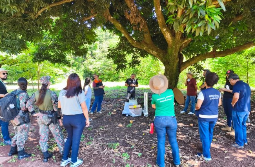 Treinamento reforça prevenção de arboviroses zoonóticas com foco na vigilância animal