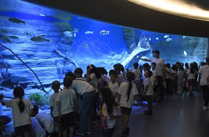 Bioparque Pantanal se consolida no mapa do turismo sustentável mundial