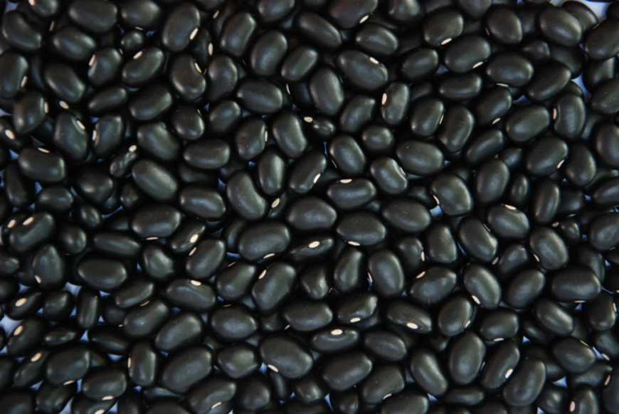 Enquanto as do carioca se sustentam: Em 2025, cotações do feijão-preto cedem