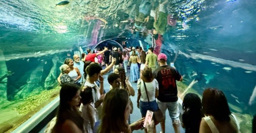 Para últimas visitas do ano: Bioparque Pantanal abre neste sábado e na terça