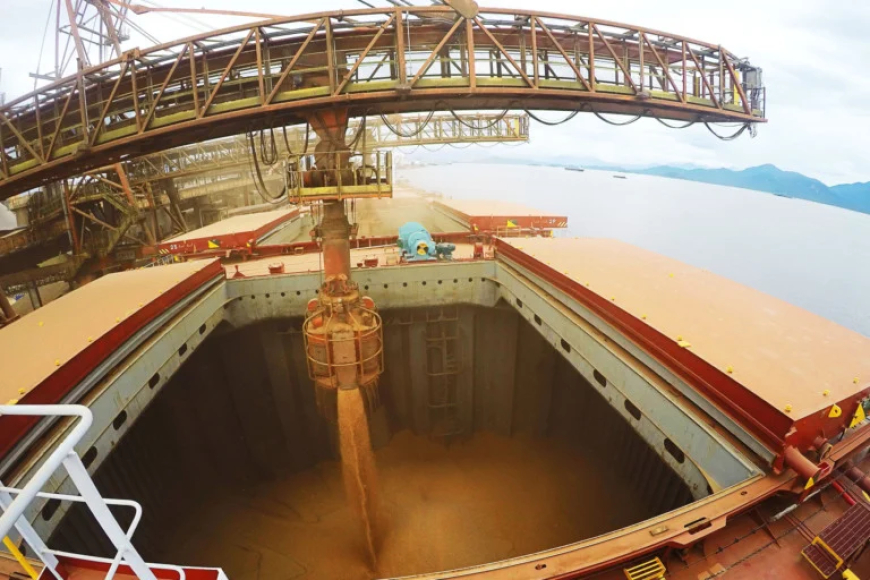 Dezembro: Exportações de soja brasileira devem superar 3 milhões de toneladas