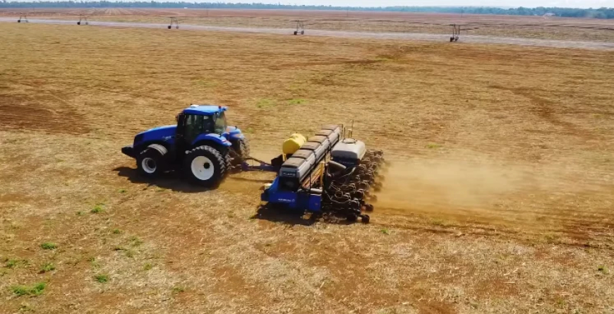 Saiba quais: 8 estados concluem a semeadura de soja no Brasil, que atinge 97,9% de área