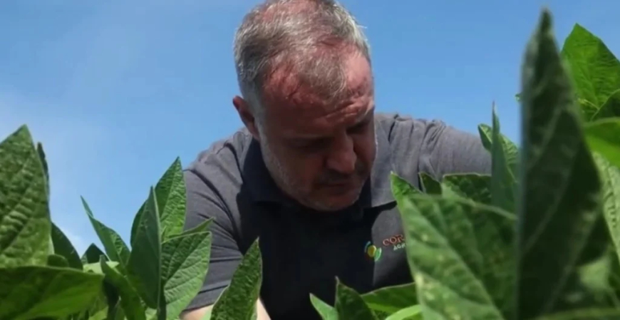 Quando a lavoura precisa se adaptar para sobreviver: Clima versus soja