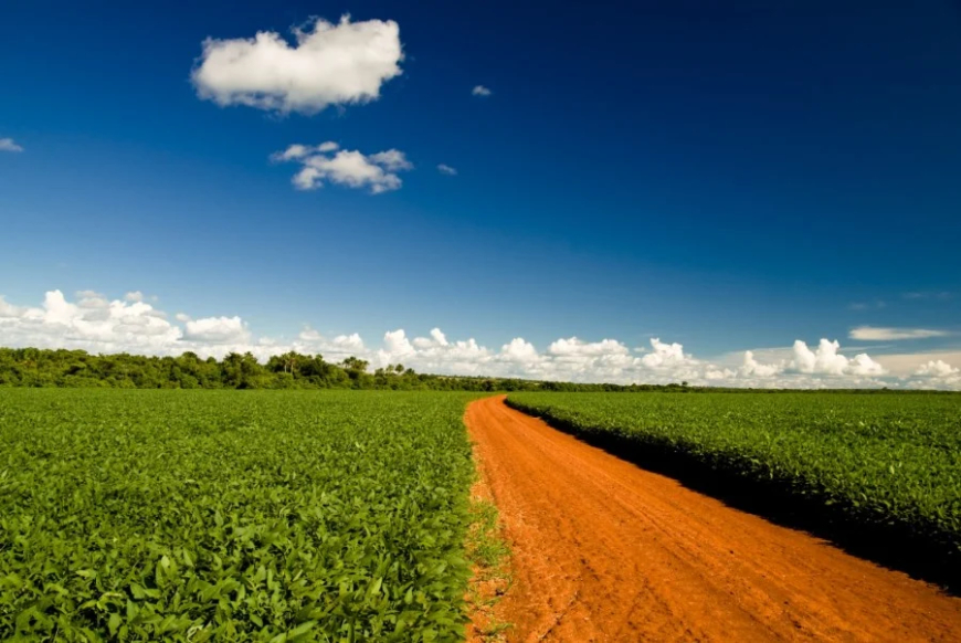 Moratória da Soja: Aprosoja MT analisa decreto que regulamenta o acordo