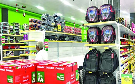 Novos investidores: Mato Grosso Sul expande sua economia e atraí olhares