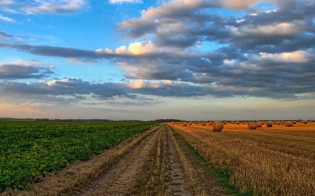 Aponta levantamento: Centro-Oeste lidera procura por terras rurais em 2025