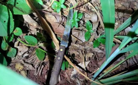 Campo Grande: Com uma faca, rapaz arrasta corredora para matagal para estuprá-la e acaba preso no Bairro Universitário