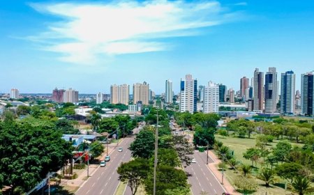 Amplia metas para 2026: Capital mais arborizada do Brasil ganha destaque internacional