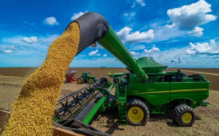 Mato Grosso: Lei que pune participantes da Moratória da Soja volta a valer