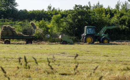 US$ 37,5 bilhões/ano: Brasil abre 525 novos mercados para o agronegócio