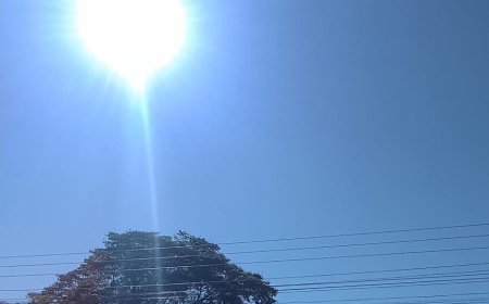 Saúde: Calor em alta,  urologista alerta para infecções íntimas e urinárias no verão e no período de férias