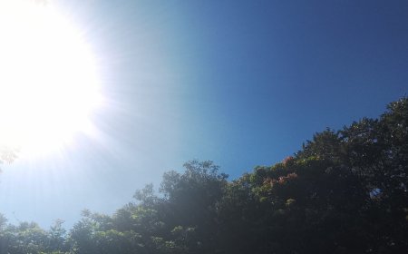 Mato Grosso do Sul: Semana começa com calor intenso e sol predominante