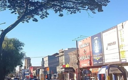 Altas temperaturas: Terça-feira tem calor intenso no Pantanal e tempo firme em Mato Grosso do Sul