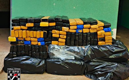 Força Tática do 4⁰ BPM desarticula depósito de drogas e apreende mais de 200 quilos de maconha