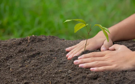 Brasil bate recorde histórico na liberação de bioinsumos