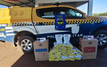 BPMRv apreende cigarros e agrotóxicos proibidos durante fiscalização na MS-134
