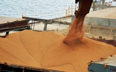 Anec: Exportação de soja deve ter salto de 114% em janeiro