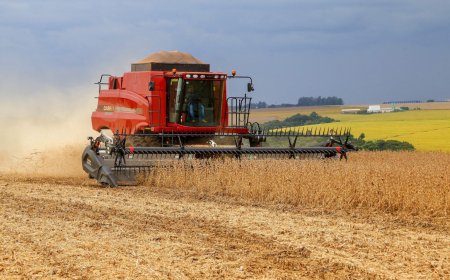 Brasil: Colheita da safra brasileira 2025/26 atinge 1% da área, aponta consultoria